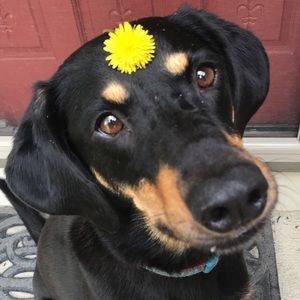 Meet your Posher, Erin